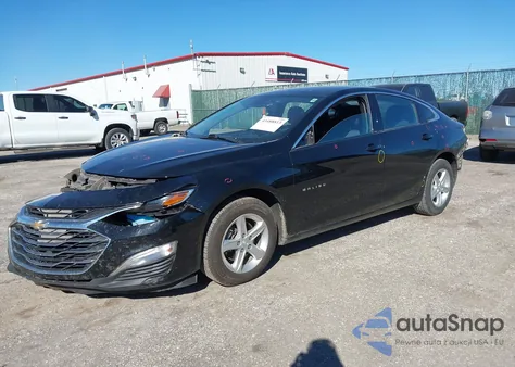 2023 Chevrolet Malibu Fwd 1Fl z USA, uszkodzony, nr VIN 1G1ZC5STXPF244547